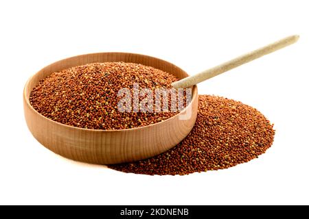 grano essiccato uccello cibo. Grano di miglio rosso. I milleti sono un gruppo molto vario di erbe piccole-seminate, ampiamente cresciute intorno al mondo come raccolti di cereale o. Foto Stock