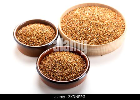 grano essiccato uccello cibo. Grano di miglio rosso. I milleti sono un gruppo molto vario di erbe piccole-seminate, ampiamente cresciute intorno al mondo come raccolti di cereale o. Foto Stock