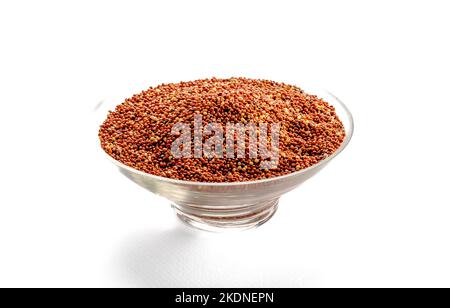 grano essiccato uccello cibo. Grano di miglio rosso. I milleti sono un gruppo molto vario di erbe piccole-seminate, ampiamente cresciute intorno al mondo come raccolti di cereale o. Foto Stock