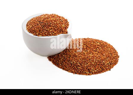 grano essiccato uccello cibo. Grano di miglio rosso. I milleti sono un gruppo molto vario di erbe piccole-seminate, ampiamente cresciute intorno al mondo come raccolti di cereale o. Foto Stock