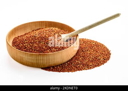 grano essiccato uccello cibo. Grano di miglio rosso. I milleti sono un gruppo molto vario di erbe piccole-seminate, ampiamente cresciute intorno al mondo come raccolti di cereale o. Foto Stock