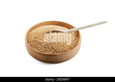 grano essiccato uccello cibo. I milleti sono un gruppo molto vario di erbe piccole-seminate, ampiamente cresciute intorno al mondo come raccolti di cereale o grani per foraggio Foto Stock