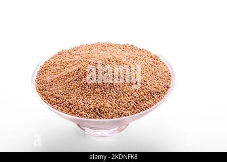 grano essiccato uccello cibo. I milleti sono un gruppo molto vario di erbe piccole-seminate, ampiamente cresciute intorno al mondo come raccolti di cereale o grani per foraggio Foto Stock