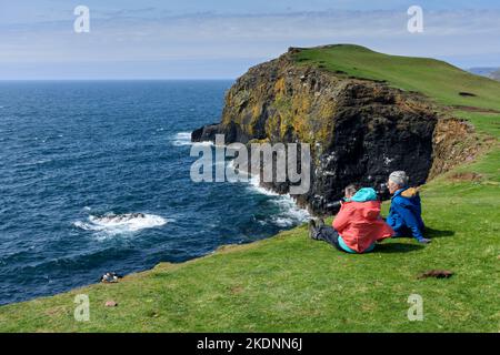 Due pulcinelle e due birdwatchers sul bordo di una scogliera sull'isola di Sanday, Scozia, Regno Unito. Foto Stock