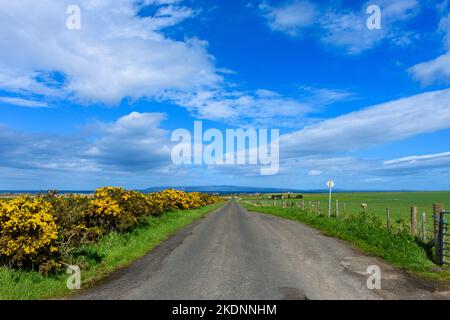 La strada dal villaggio di Mey al villaggio di Scarfskerry, vicino Thurso, Caithness, Scozia, Regno Unito. Le colline di Hoy, Orkney, in lontananza. Foto Stock