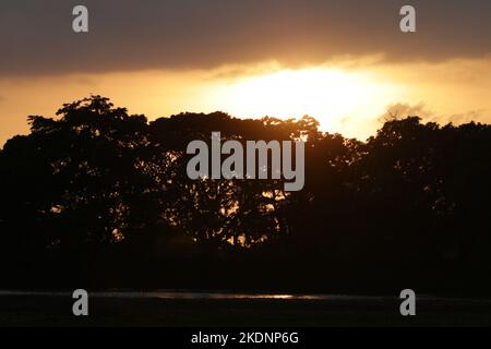 Splendidi tramonti e albe nello Sri Lanka Foto Stock