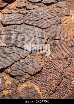 Antico letto del lago, passeggiata sul bordo, Kings Canyon, Watarrka National Park, Northern Territory, Australia Foto Stock