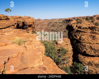 Kings Canyon dal Muro del Sud, Parco Nazionale di Watarrka, territorio del Nord, Australia Foto Stock