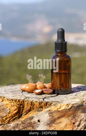 Semi di Argan e olio su sfondo di legno naturale. Olio di argan biologico per cosmetici naturali per pelle, capelli, massaggi. Marocco bio prodotti naturali di bellezza. Foto di alta qualità Foto Stock