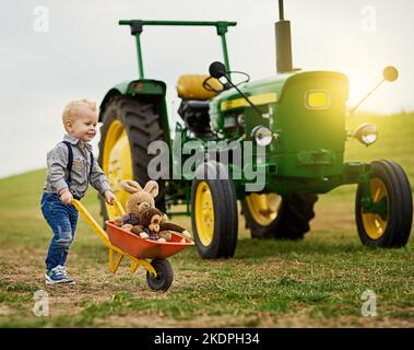 Arrotondare il bestiame come un pulpito. Un adorabile ragazzino che spinge una carriola giocattolo piena di animali imbalsamati in una fattoria. Foto Stock