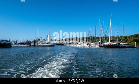 Barche ormeggiate al Crystalbrook Superyacht Marina a Port Douglas, Queensland, Australia Foto Stock