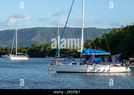 Barche ormeggiate a Dickson Inlet a Port Douglas, Queensland, Australia Foto Stock