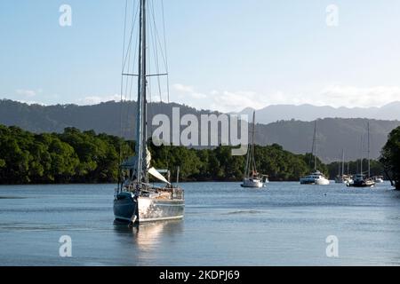 Barche ormeggiate a Dickson Inlet a Port Douglas, Queensland, Australia Foto Stock