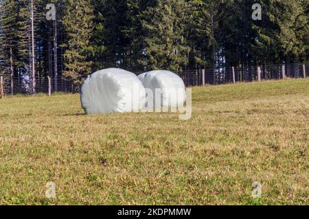 Due balle di fieno in un prato in autunno Foto Stock