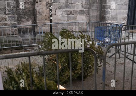 Usato alberi di Natale dietro la recinzione in Francia Foto Stock