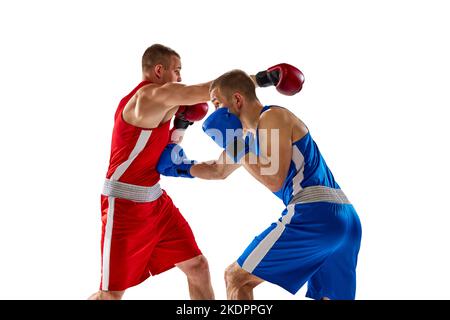 Battaglia di due pugili. Due pugili professionisti in blu e rosso allenamento sportivo isolato su sfondo bianco. Concetto di sport Foto Stock