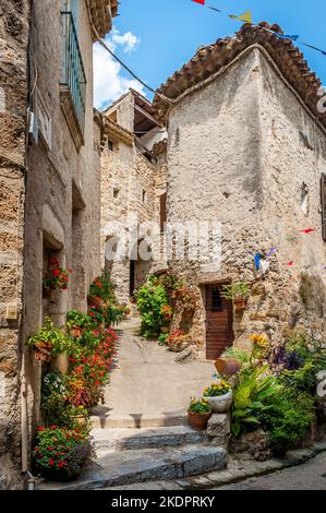 Strada stretta nel villaggio di Saint Guilhem le désert, in Hérault, in Occitanie, Francia Foto Stock