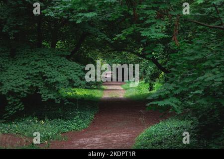 L'Arboreto del giardino botanico dell'Università di Scienze della vita di Varsavia nel villaggio di Rogow, Polonia Foto Stock