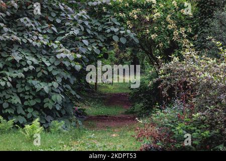 L'Arboreto del giardino botanico dell'Università di Scienze della vita di Varsavia nel villaggio di Rogow, Polonia Foto Stock