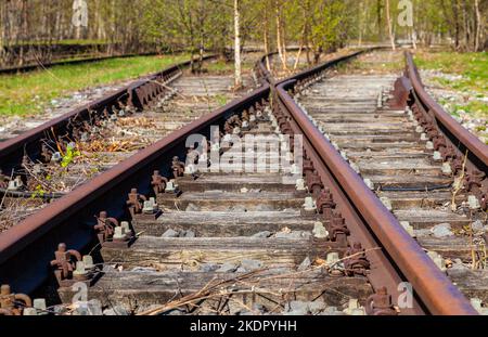 Abbandonate vecchie linee ferroviarie arrugginite che conducono in un bosco o in una foresta Foto Stock