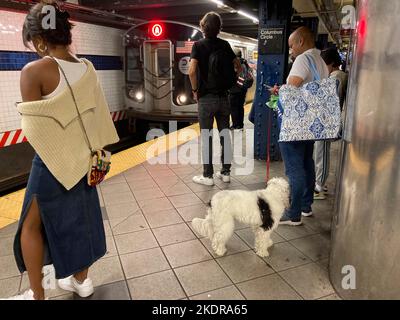 Weekend di metropolitana a New York, i cavalieri aspettano alla stazione Columbus Circle domenica 6 novembre 2022. (© Frances M. Roberts) Foto Stock