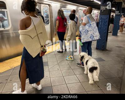 Weekend di metropolitana a New York, i cavalieri aspettano alla stazione Columbus Circle domenica 6 novembre 2022. (© Frances M. Roberts) Foto Stock