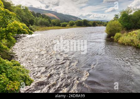 Piega nel fiume Spey, vicino a Fochabers, Scozia, splendente al sole del pomeriggio. Il fiume è importante per la pesca del salmone e la produzione di whisky. Foto Stock