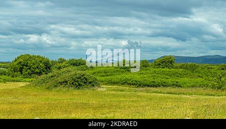 La vista attraverso una parte della riserva naturale di Kenfig Dunes verso le orche di Port Talbot Foto Stock