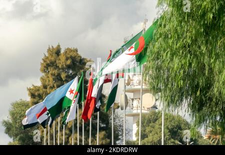 Bandiere dell'Algeria, della Lega Araba e dei paesi arabi bandiere che sventolano nel vento fuori della città di Algeri con palchi sotto un cielo nuvoloso blu e alberi. Foto Stock