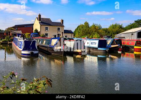 Una collezione colorata di barche strette e altre nel bacino di Diglis sul canale Worcester & Birmingham, Worcestershire, Inghilterra, Regno Unito Foto Stock