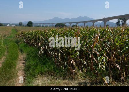 Il ponte ferroviario sopraelevato del progetto a doppio binario è in costruzione, passando lungo il campo coltivato a mais fino al piccolo paese della valle, Foto Stock