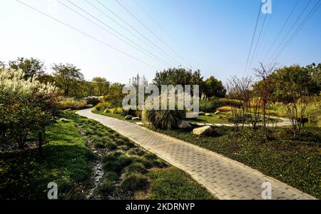 Tianjin Binhai Nuova zona Ottava Avenue - cento Giardino delle Erbe è pieno di autunno Foto Stock