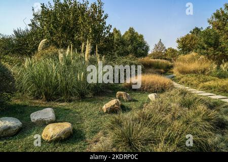 Tianjin Binhai Nuova zona Ottava Avenue - cento Giardino delle Erbe è pieno di autunno Foto Stock