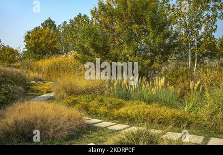 Tianjin Binhai Nuova zona Ottava Avenue - cento Giardino delle Erbe è pieno di autunno Foto Stock