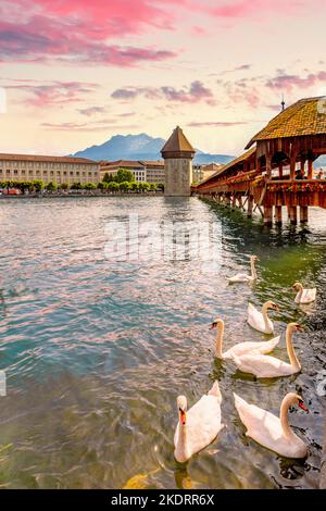 Il Ponte della Cappella, Lucerna, Svizzera Foto Stock