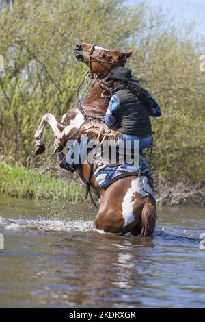 Donna cavalca Cavallo Foto Stock
