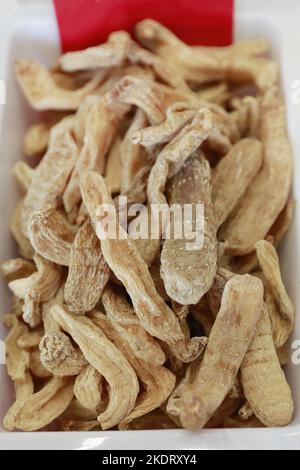 Gastrodia elata Foto Stock
