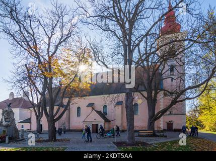 Orth an der Donau: chiesa Orth a Donau, Niederösterreich, bassa Austria, Austria Foto Stock