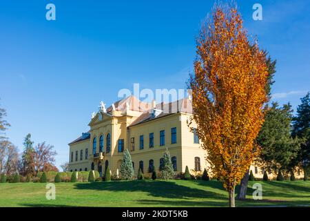 Eckartsau: Schloss Eckartsau Castello a Donau, Niederösterreich, bassa Austria, Austria Foto Stock