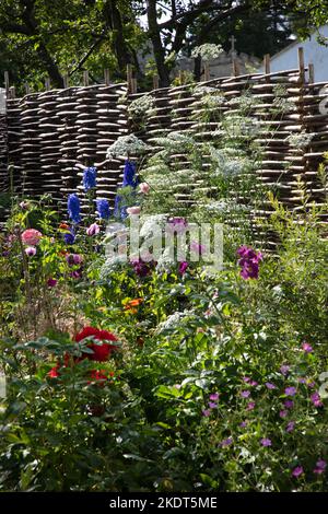 giardino inglese paese boarder con delfini, rose e vecchia barriera di hazel , Oxfordshire , Inghilterra Foto Stock