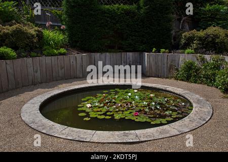 Tondo decorazione stagno caratteristica con gigli in giardino inglese, Inghilterra Foto Stock