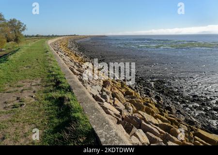 Mura marine e difese costiere sulla riva nord del canale di Bristol, Goldcliff, vicino a Newport, Gwent, Galles, Regno Unito, marzo. Foto Stock