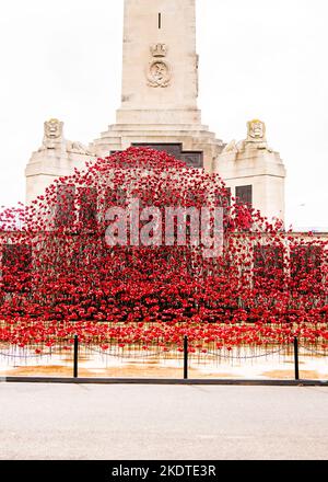 Un'onda di papaveri di ceramica che commemoriale coloro che lost loro vite in mare nelle due guerre mondiali a Plymouth Hoe Navy War Memorial. Foto Stock