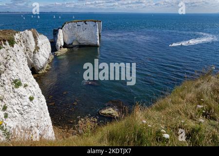 Old Harry’s Rocks, con un gruppo di persone che si avvicina agli sci d'acqua e una regata di vela sullo sfondo a Studland Bay, Studland, Dorset, Regno Unito, luglio. Foto Stock