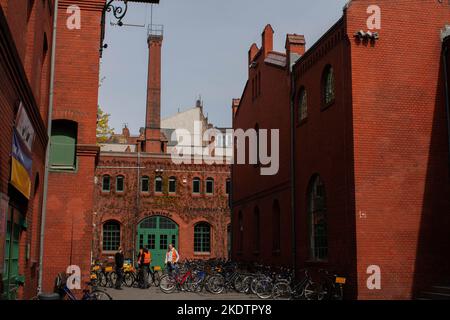 Museo di Berlino (Germania) al Kulturbrauerei Foto Stock