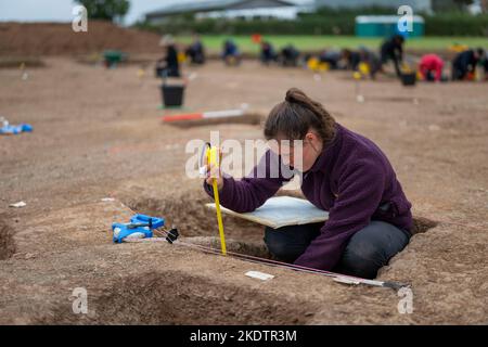 Foto di Jim Wileman - Ipplepen Archeology Site, Università di Exeter, 2019. Foto Stock