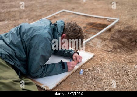 Foto di Jim Wileman - Ipplepen Archeology Site, Università di Exeter, 2019. Foto Stock