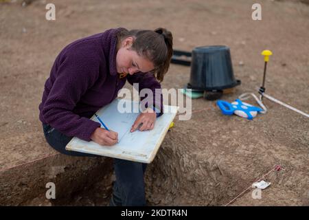 Foto di Jim Wileman - Ipplepen Archeology Site, Università di Exeter, 2019. Foto Stock