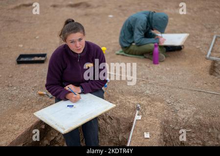 Foto di Jim Wileman - Ipplepen Archeology Site, Università di Exeter, 2019. Foto Stock