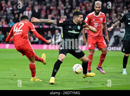 Monaco, Germania. 08th Nov 2022. Calcio: Bundesliga, Bayern Monaco - Werder Bremen, 14° giorno all'Allianz Arena. Jamal Musiala (l) di Monaco segna per 1:0. Credit: Sven Hoppe/dpa - NOTA IMPORTANTE: In conformità ai requisiti della DFL Deutsche Fußball Liga e del DFB Deutscher Fußball-Bund, è vietato utilizzare o utilizzare fotografie scattate nello stadio e/o della partita sotto forma di sequenze di immagini e/o serie di foto simili a video./dpa/Alamy Live News Foto Stock